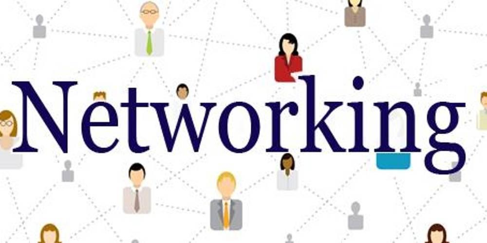 Business Networking Coursework Example